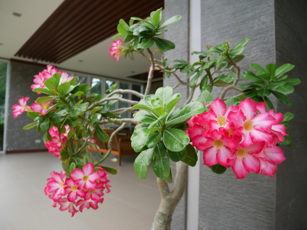 Gypsy Sea View Resort- Phi Phi Island Exterior foto